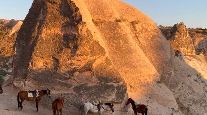 Kapadokya Turu
